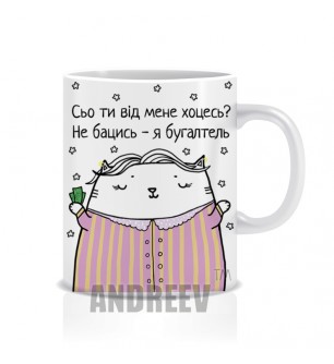 Бухгалтер Ж