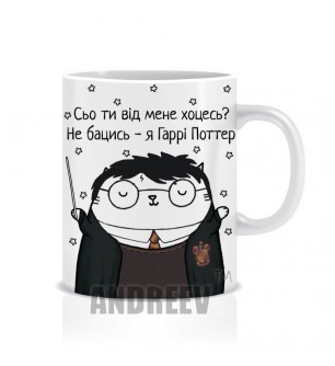 Гаррі Поттер